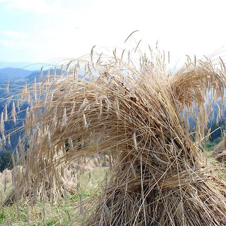 Farm Stay Rotovnik - Plesnik Slovenj Gradec Dış mekan fotoğraf