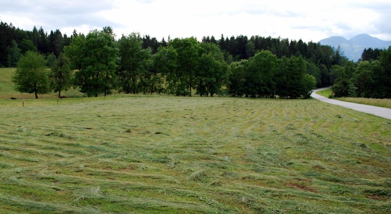 Farm Stay Rotovnik - Plesnik Slovenj Gradec Dış mekan fotoğraf