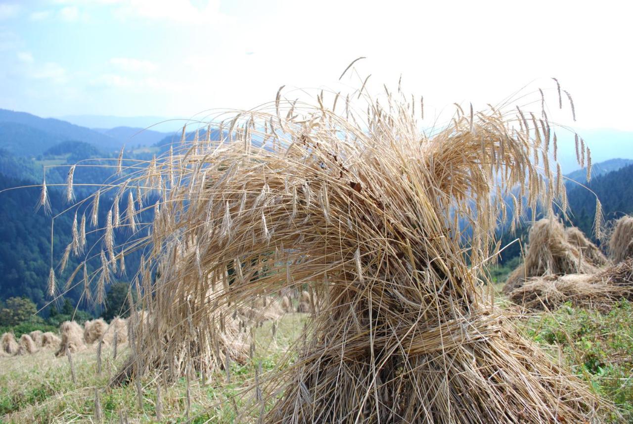 Farm Stay Rotovnik - Plesnik Slovenj Gradec Dış mekan fotoğraf