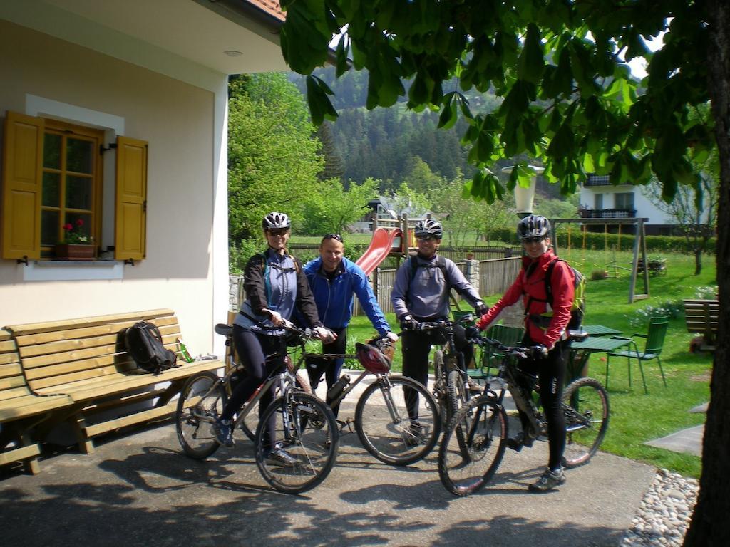Farm Stay Rotovnik - Plesnik Slovenj Gradec Dış mekan fotoğraf