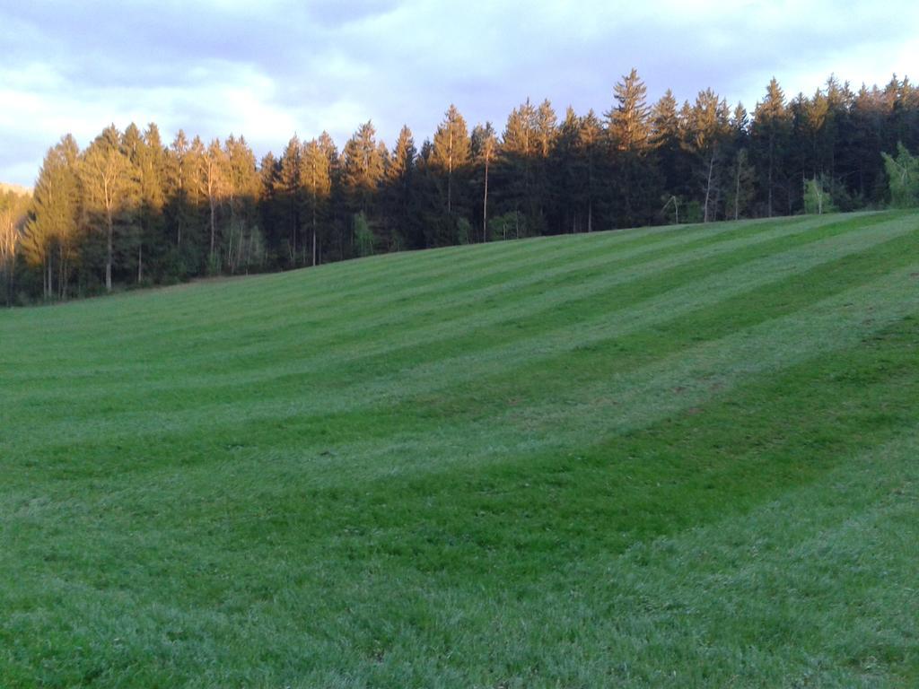 Farm Stay Rotovnik - Plesnik Slovenj Gradec Dış mekan fotoğraf