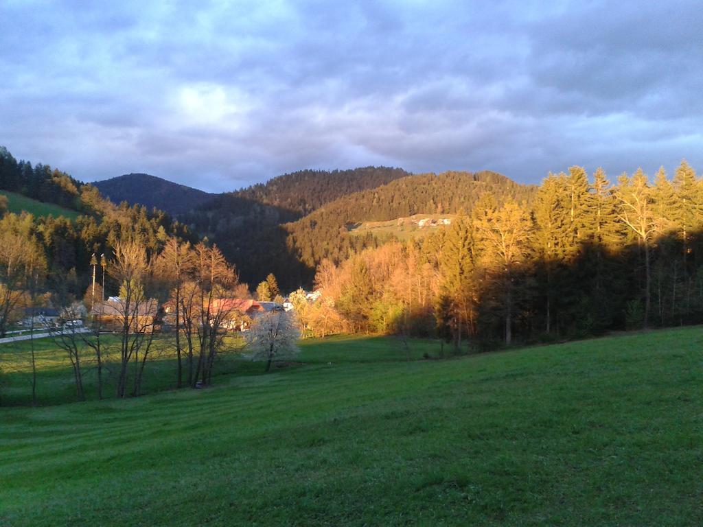Farm Stay Rotovnik - Plesnik Slovenj Gradec Dış mekan fotoğraf