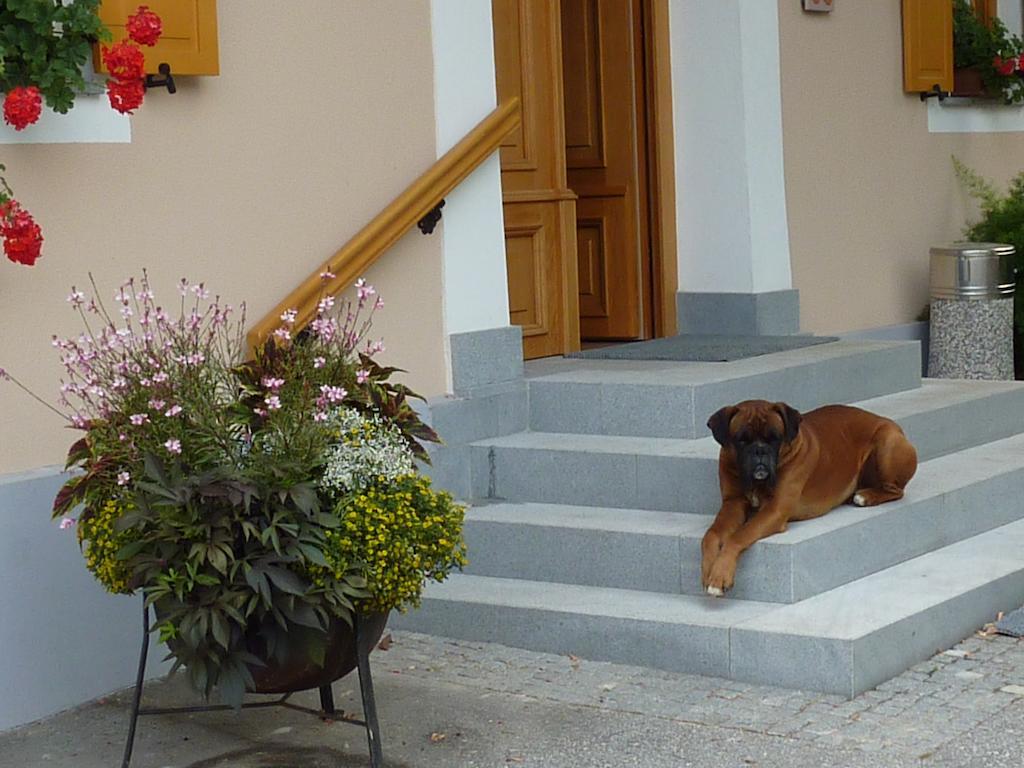 Farm Stay Rotovnik - Plesnik Slovenj Gradec Dış mekan fotoğraf