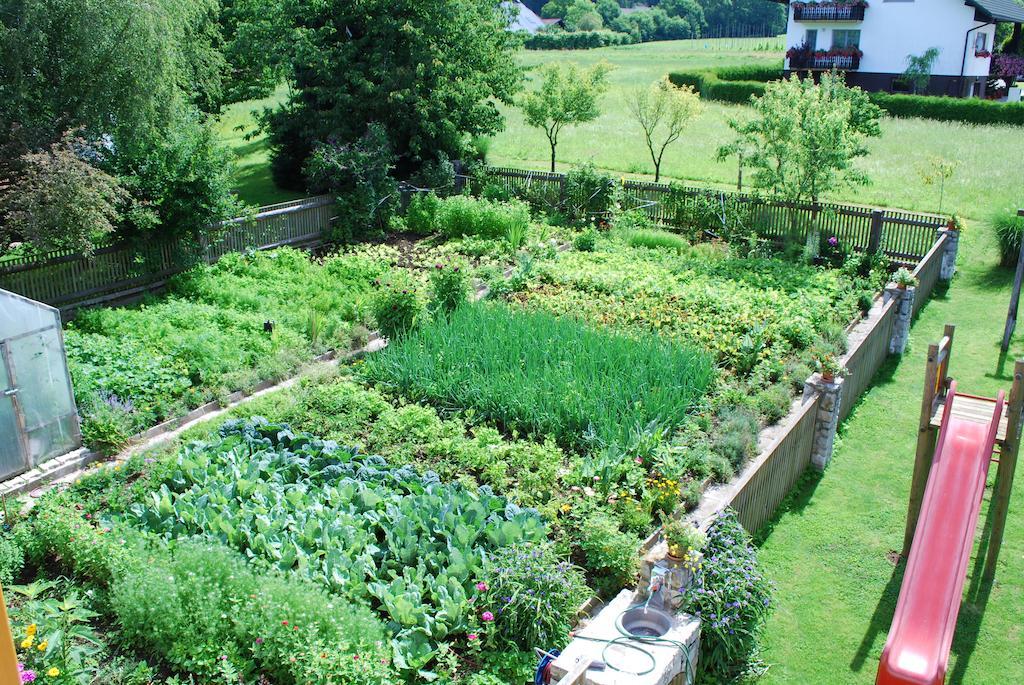 Farm Stay Rotovnik - Plesnik Slovenj Gradec Dış mekan fotoğraf